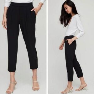 Aritzia Babaton Conan Pants